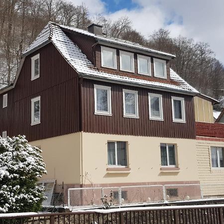 Ferienhaus Am Fluss Mit Traumhafter Dachterrasse ,Garten Und Grill Walkenried Luaran gambar
