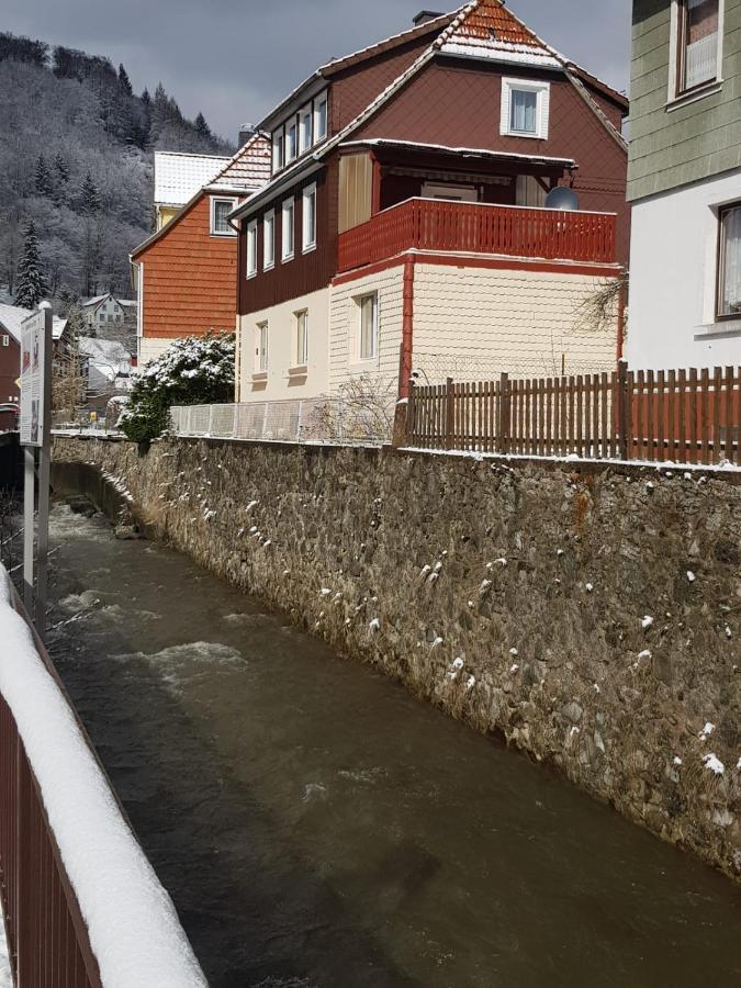 Ferienhaus Am Fluss Mit Traumhafter Dachterrasse ,Garten Und Grill Walkenried Luaran gambar