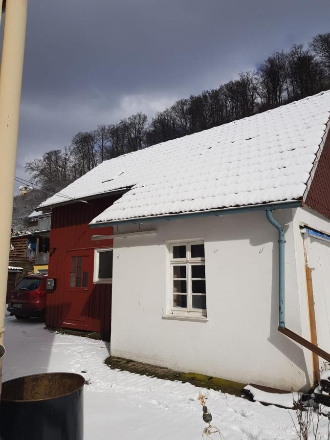 Ferienhaus Am Fluss Mit Traumhafter Dachterrasse ,Garten Und Grill Walkenried Luaran gambar
