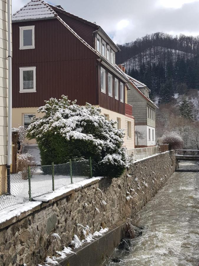 Ferienhaus Am Fluss Mit Traumhafter Dachterrasse ,Garten Und Grill Walkenried Luaran gambar