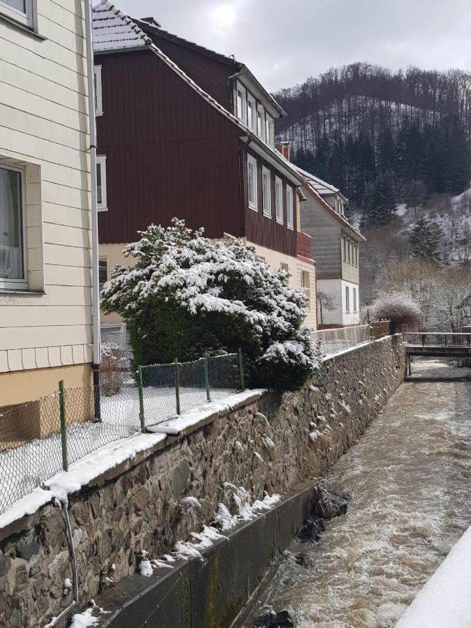 Ferienhaus Am Fluss Mit Traumhafter Dachterrasse ,Garten Und Grill Walkenried Luaran gambar