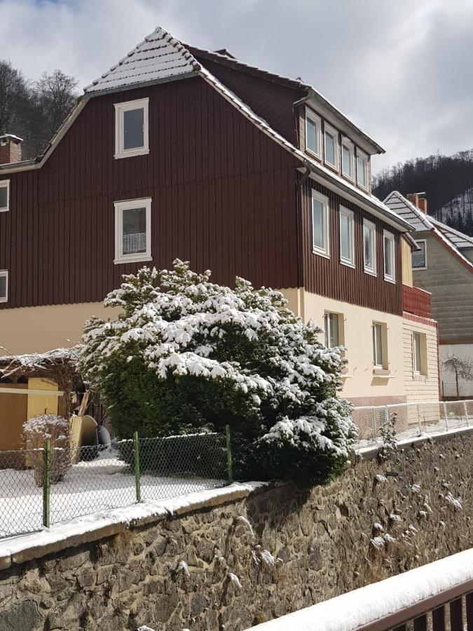 Ferienhaus Am Fluss Mit Traumhafter Dachterrasse ,Garten Und Grill Walkenried Luaran gambar