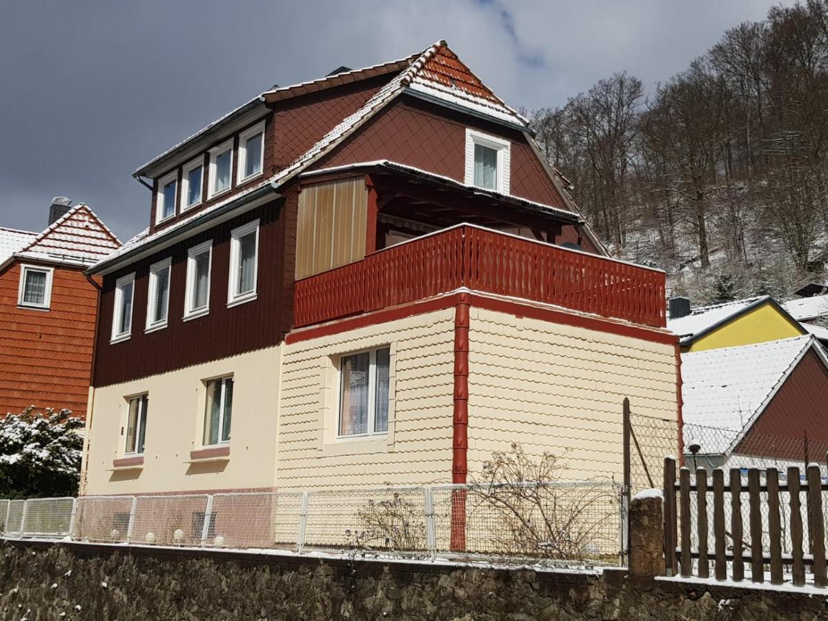 Ferienhaus Am Fluss Mit Traumhafter Dachterrasse ,Garten Und Grill Walkenried Luaran gambar