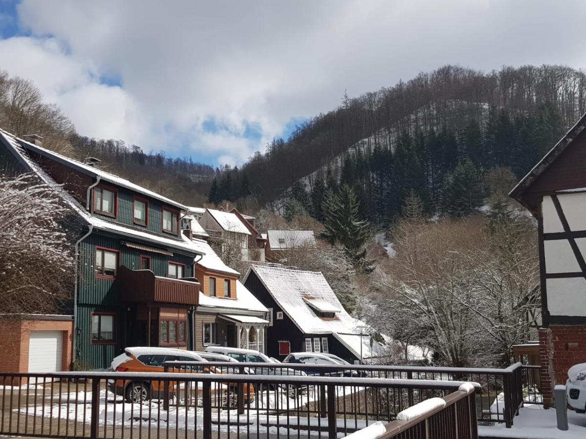 Ferienhaus Am Fluss Mit Traumhafter Dachterrasse ,Garten Und Grill Walkenried Luaran gambar