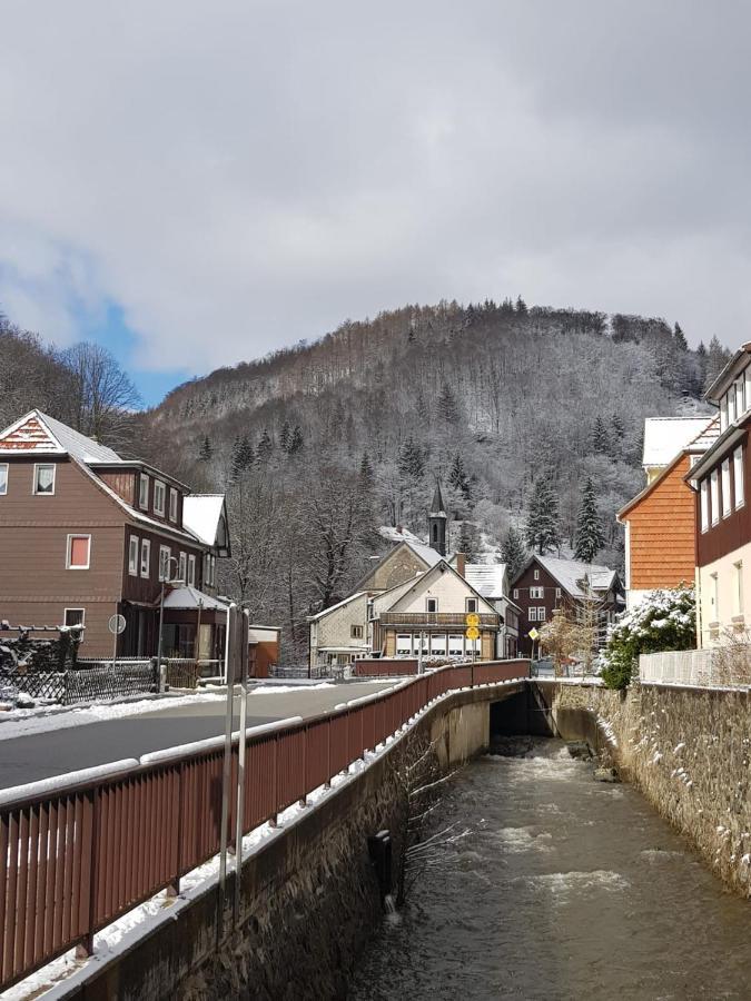 Ferienhaus Am Fluss Mit Traumhafter Dachterrasse ,Garten Und Grill Walkenried Luaran gambar
