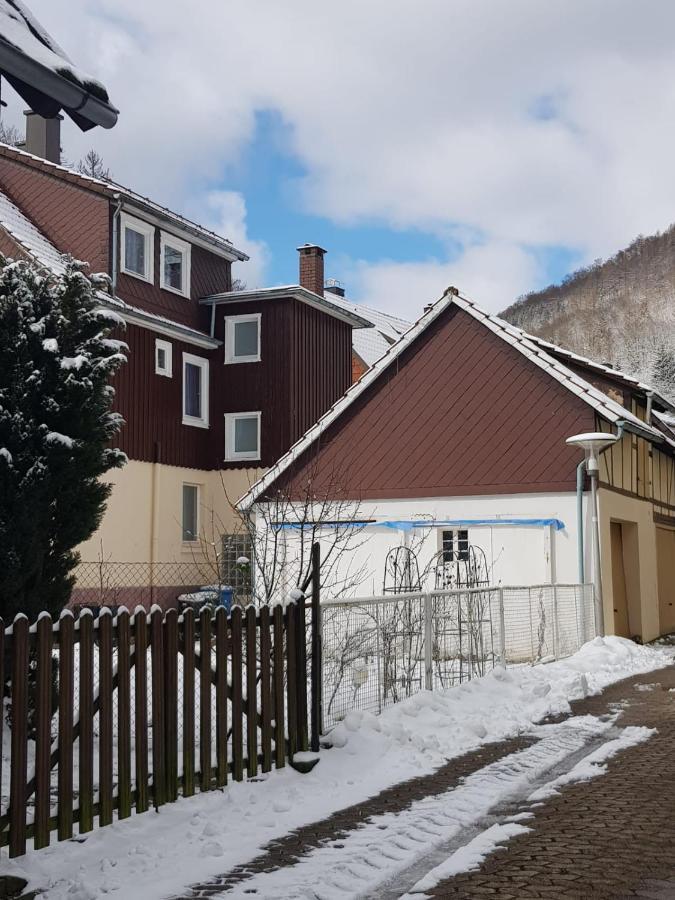 Ferienhaus Am Fluss Mit Traumhafter Dachterrasse ,Garten Und Grill Walkenried Luaran gambar