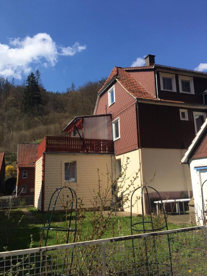 Ferienhaus Am Fluss Mit Traumhafter Dachterrasse ,Garten Und Grill Walkenried Luaran gambar