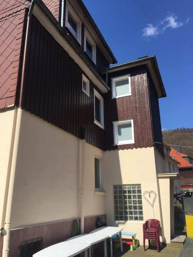 Ferienhaus Am Fluss Mit Traumhafter Dachterrasse ,Garten Und Grill Walkenried Luaran gambar