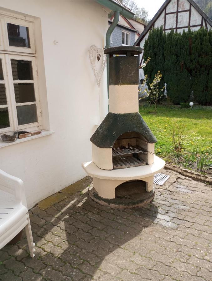 Ferienhaus Am Fluss Mit Traumhafter Dachterrasse ,Garten Und Grill Walkenried Luaran gambar