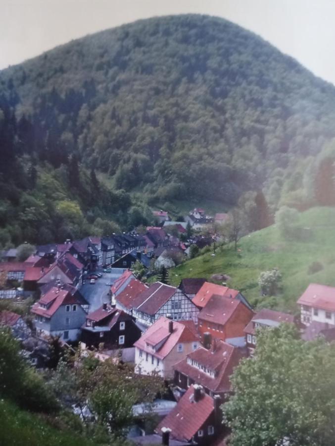 Ferienhaus Am Fluss Mit Traumhafter Dachterrasse ,Garten Und Grill Walkenried Luaran gambar